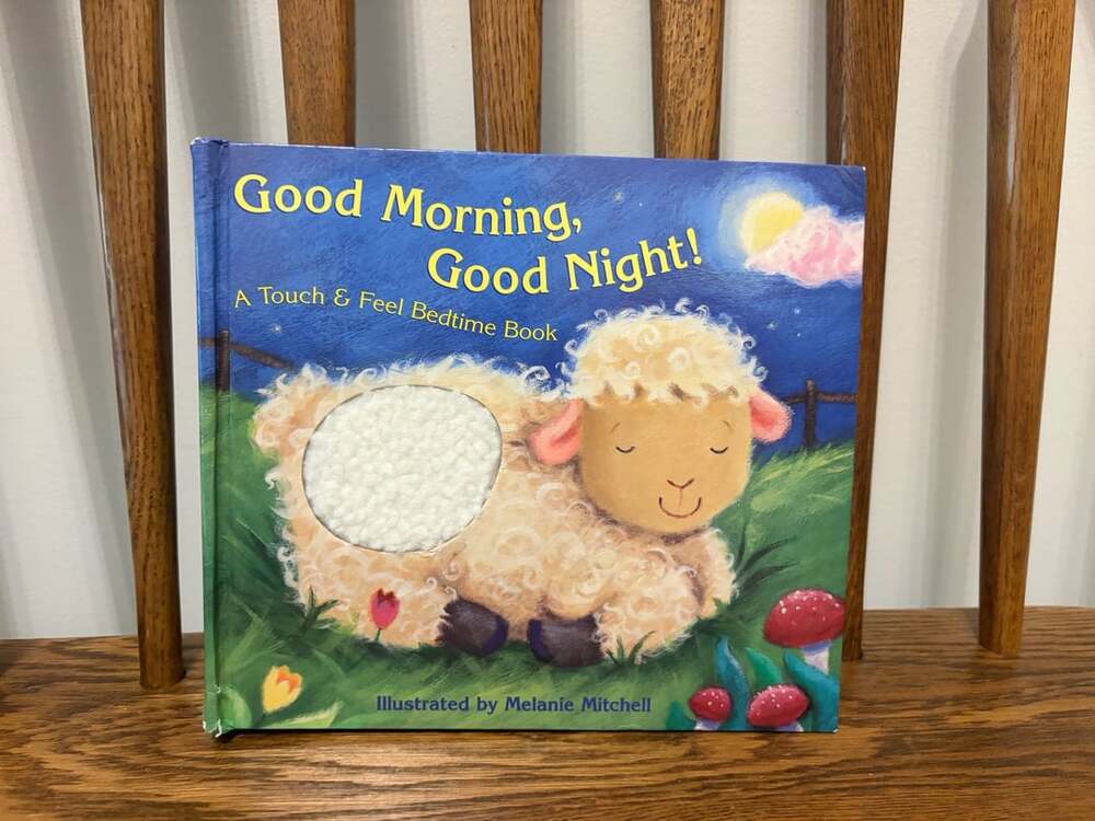 Good Morning, Good Night! A Touch & Feel Bedtime Book by Piggy Toes Press